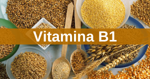 Read more about the article Alimentos ricos em Vitamina B1 (Tiamina)