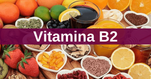 Read more about the article Alimentos ricos em Vitamina B2 (Riboflavina)