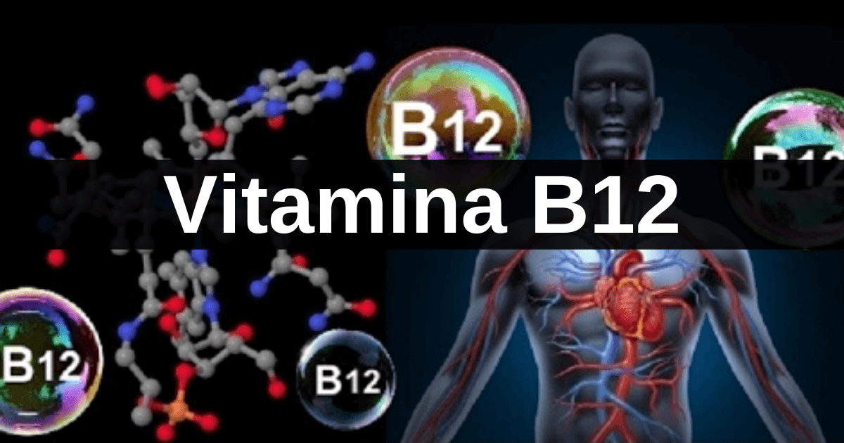 ALIMENTOS RICOS EM VITAMINA B12 (COBALAMINA)