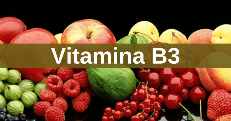 Read more about the article Alimentos ricos em vitamina B3 (Niacina)