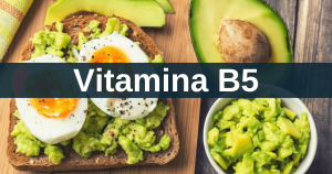 Read more about the article Alimentos ricos em Vitamina B5 (Ácido pantotênico)