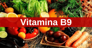 Read more about the article Alimentos ricos em Vitamina B9 (Ácido Fólico)